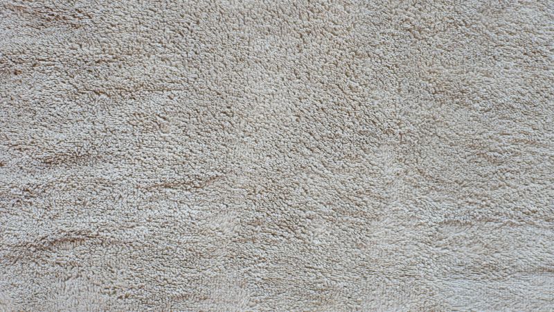 Carpet Wrinkle Repair