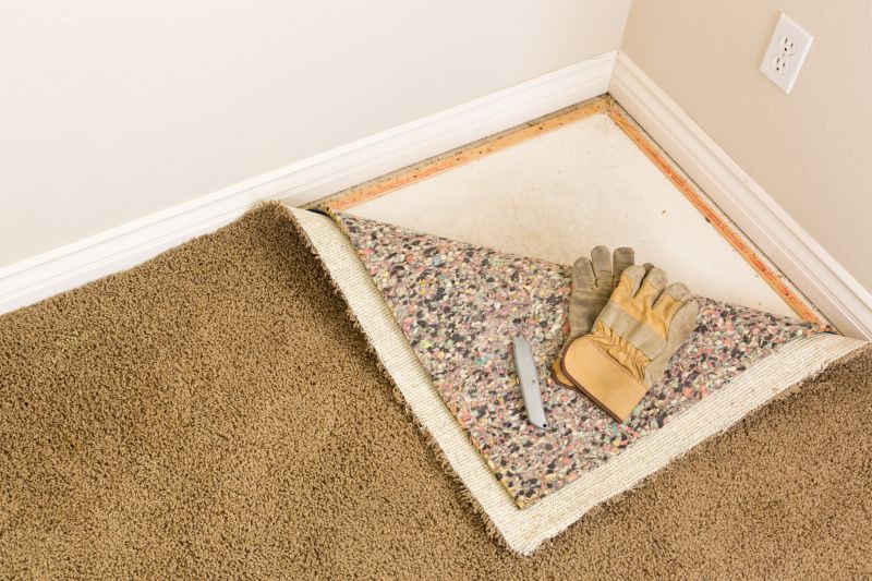 Basement Carpet Replacement in Toms River, NJ