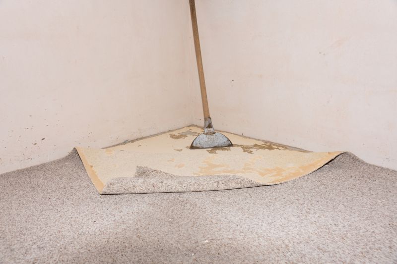 Carpet Foam Replacement in Olathe, KS