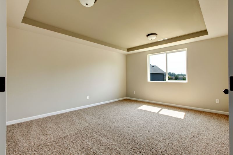 Carpet Hole Repair in Littleton, CO