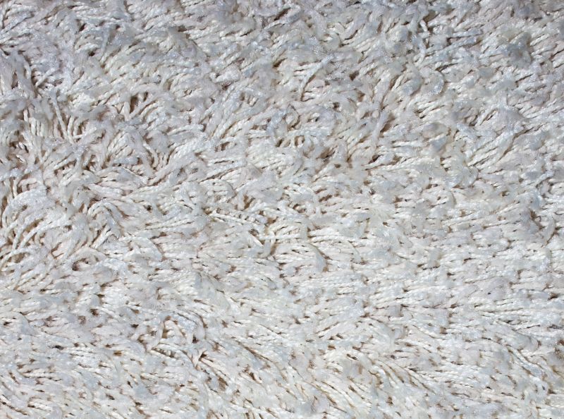 Carpet Wrinkle Repair