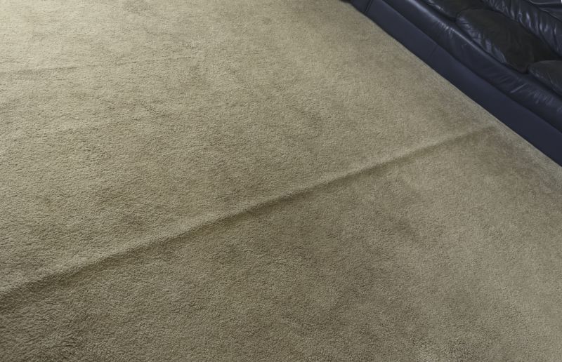 Carpet Wrinkle Repair
