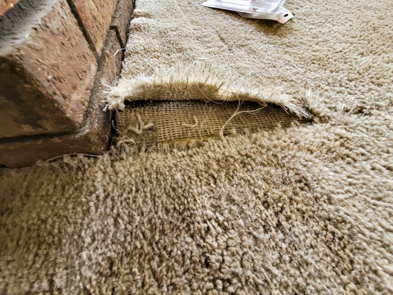 Carpet Wrinkle Repair