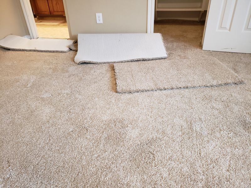 Residential Carpet Repair in Olathe, KS